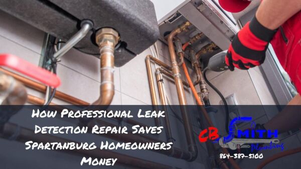 How Professional Leak Detection Repair Service Saves Spartanburg Homeowners Money