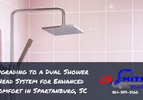 Upgrading to a Dual Shower Head System for Enhanced Comfort in Spartanburg