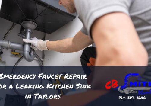 Emergency Faucet Repair for a Leaking Kitchen Sink in Taylors