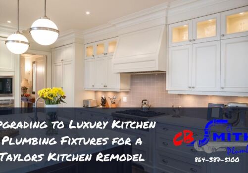 Upgrading to Luxury Kitchen Plumbing Fixtures for a Taylors Kitchen Remodel