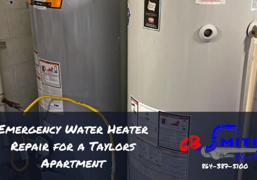 Emergency Water Heater Repair for a Taylors Apartment