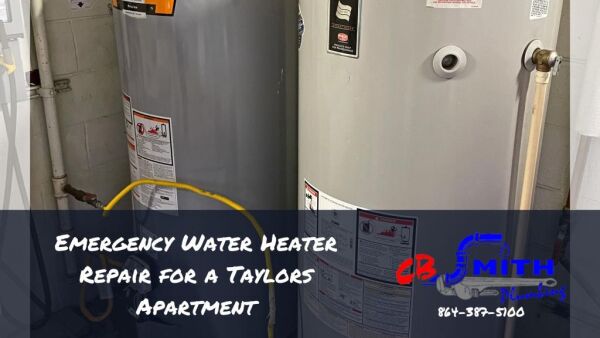 Emergency Water Heater Repair for a Taylors Apartment