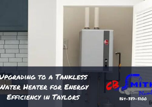 Upgrading to a Tankless Water Heater for Energy Efficiency in Taylors
