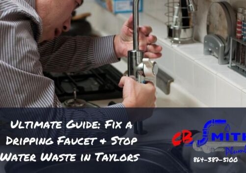 Ultimate Guide: Fix a Dripping Faucet & Stop Water Waste in Taylors