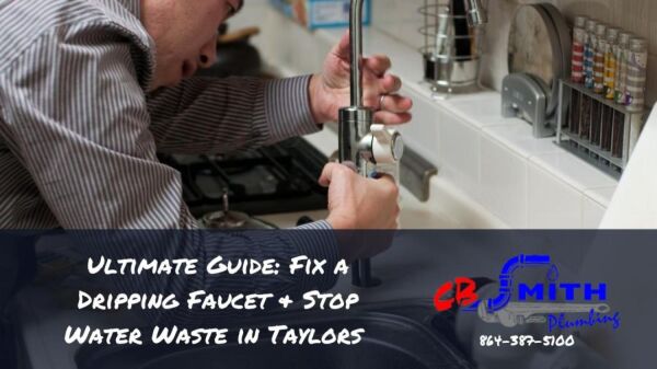Ultimate Guide: Fix a Dripping Faucet & Stop Water Waste in Taylors