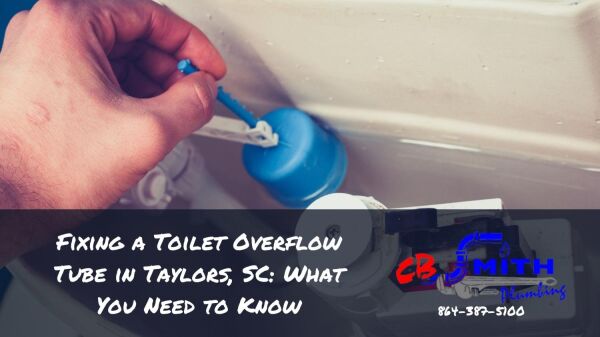 Fixing a Toilet Overflow Tube in Taylors, SC: What You Need to Know
