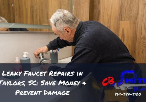 Leaky Faucet Repairs in Taylors, SC: Save Money & Prevent Damage