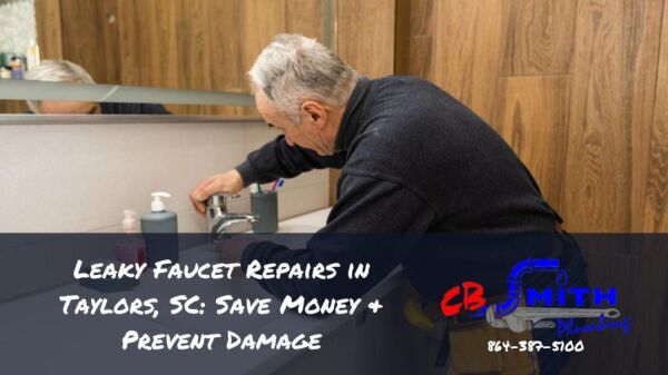 Leaky Faucet Repairs in Taylors, SC: Save Money & Prevent Damage
