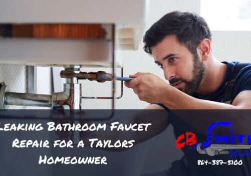 Leaking Bathroom Faucet Repair for a Taylors Homeowner