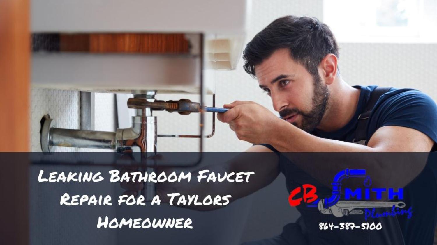 Leaking Bathroom Faucet Repair for a Taylors Homeowner