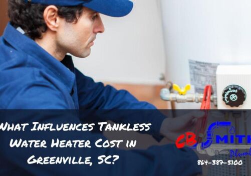 What Influences Tankless Water Heater Cost in Greenville, SC?