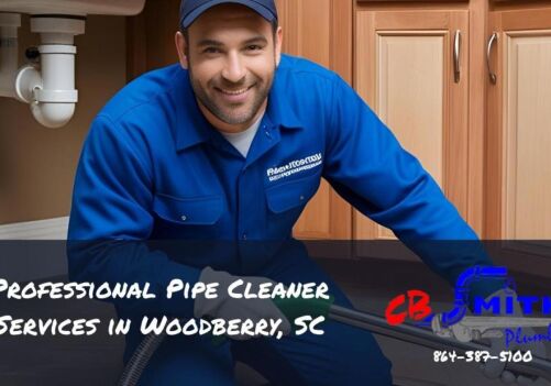 Professional Pipe Cleaner Services in Woodberry, SC
