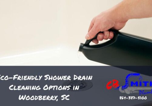 Eco-Friendly Shower Drain Cleaning Options in Woodberry, SC