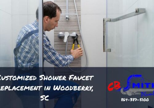 Customized Shower Faucet Replacement in Woodberry, SC