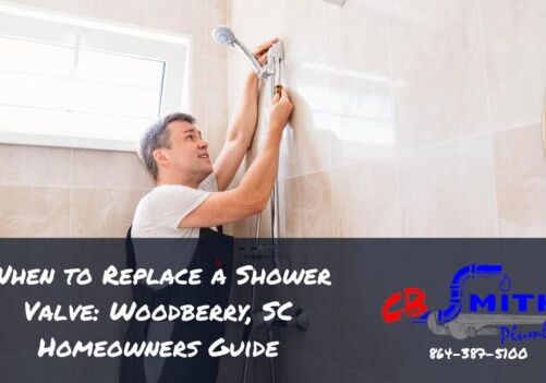 When to Replace a Shower Valve: Woodberry, SC Homeowners Guide