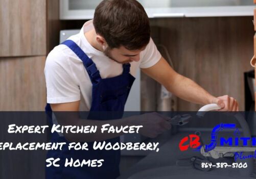 Expert Kitchen Faucet Replacement for Woodberry, SC Homes