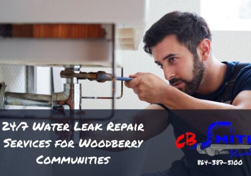 24/7 Water Leak Repair Services for Woodberry Communities
