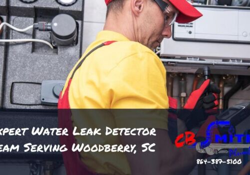 Expert Water Leak Detector Team Serving Woodberry, SC