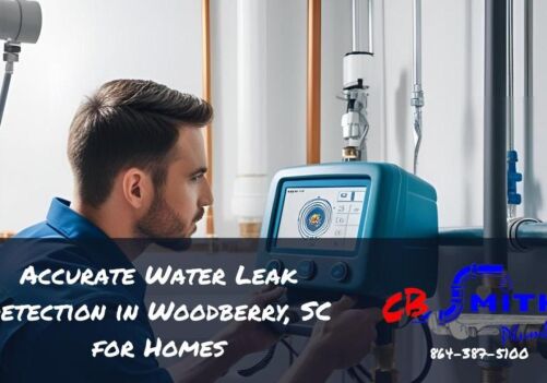 Accurate Water Leak Detection in Woodberry, SC for Homes
