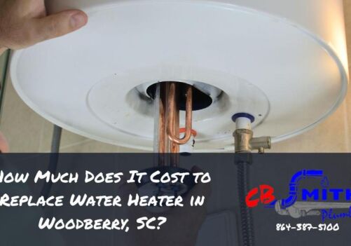 How Much Does It Cost to Replace Water Heater in Woodberry, SC?