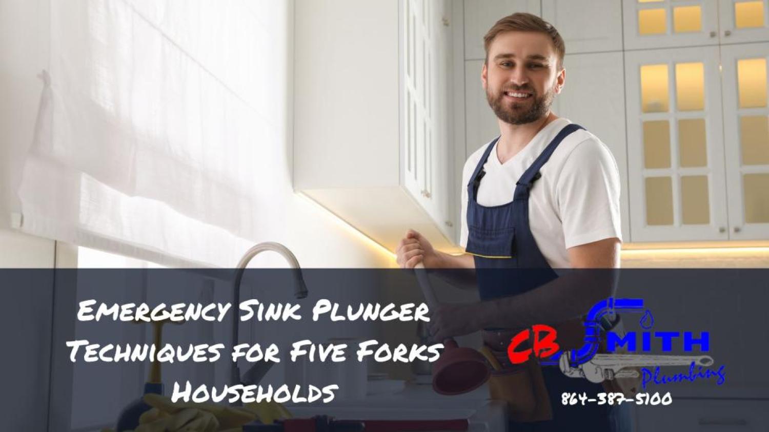 Five Forks SC Drain Cleaning Emergency Sink Plunger Techniques for Five Forks Households