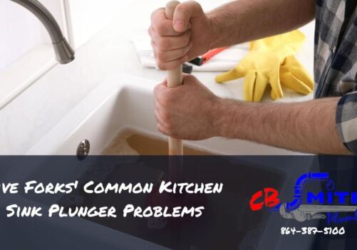 Five Forks’ Common Kitchen Sink Plunger Problems