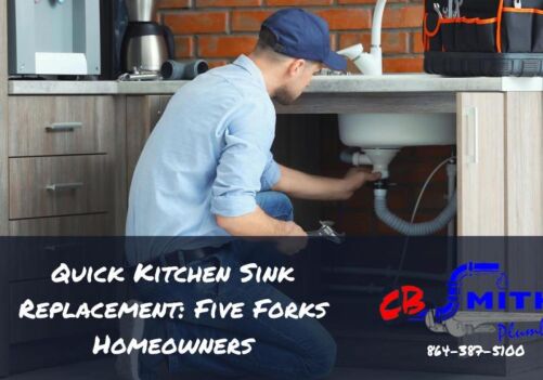 Quick Kitchen Sink Replacement: Five Forks Homeowners