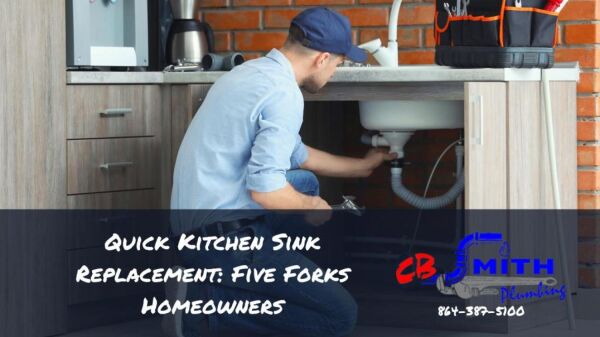 Quick Kitchen Sink Replacement: Five Forks Homeowners