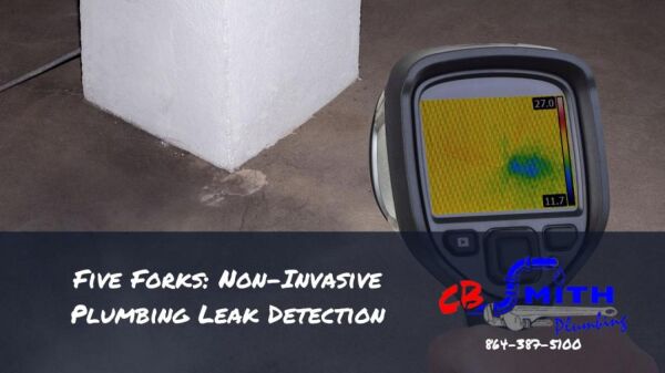 Five Forks: Non-Invasive Plumbing Leak Detection