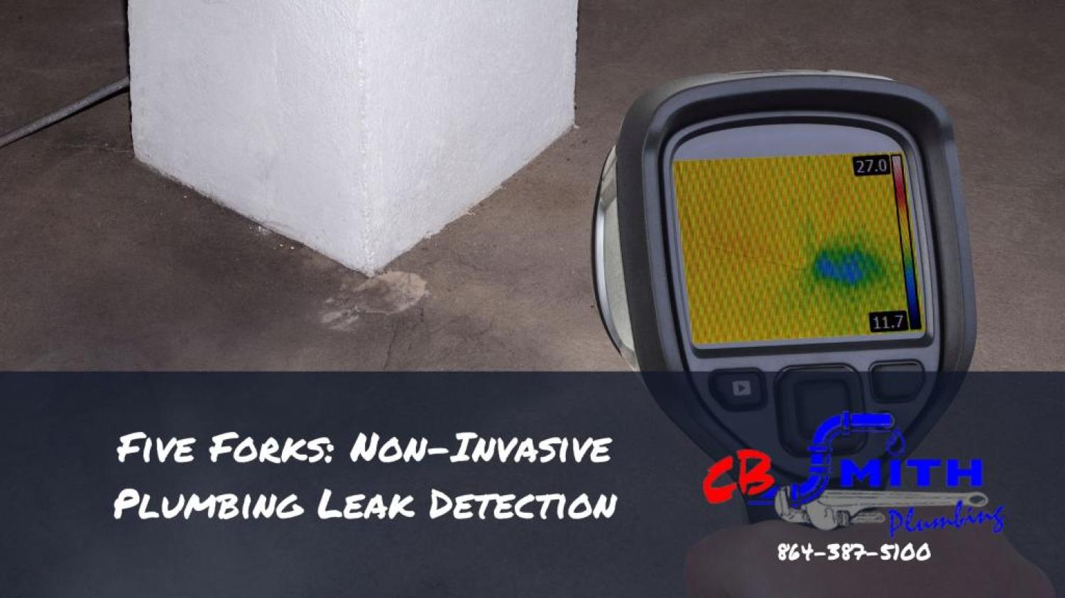 Leak Detection Five Forks SC Five Forks: Non-Invasive Plumbing Leak Detection