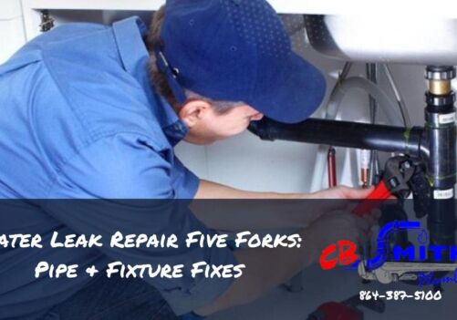 Water Leak Repair Five Forks: Pipe & Fixture Fixes