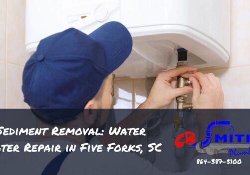 Sediment Removal: Water Heater Repair in Five Forks, SC