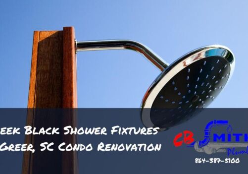 Sleek Black Shower Fixtures in Greer, SC Condo Renovation