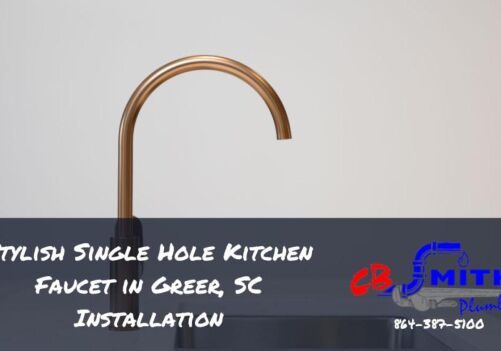 Stylish Single Hole Kitchen Faucet in Greer, SC Installation