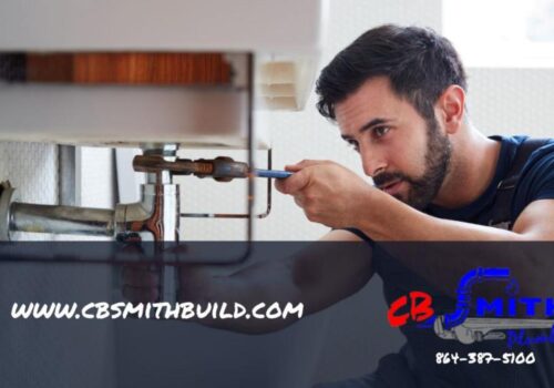 Toilet Line Residential Leak Repair in Greer, SC Residence