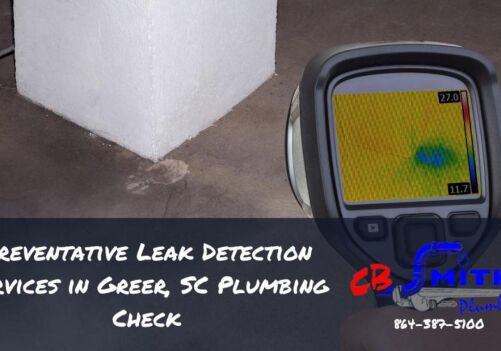 Preventative Leak Detection Services in Greer, SC Plumbing Check