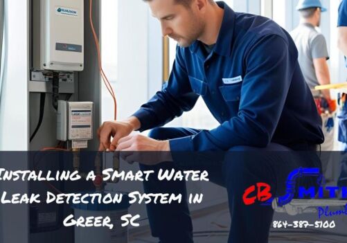 Installing a Smart Water Leak Detection System in Greer, SC
