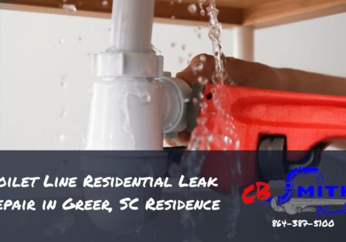 Toilet Line Residential Leak Repair in Greer, SC Residence