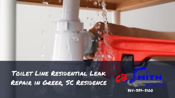 Toilet Line Residential Leak Repair in Greer, SC Residence