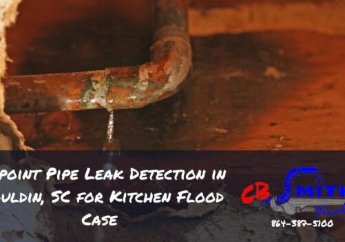 Pinpoint Pipe Leak Detection in Mauldin, SC for Kitchen Flood Case