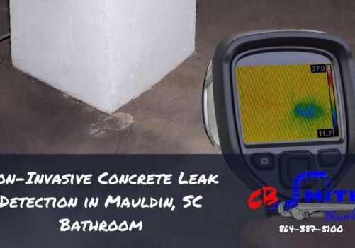 Non-Invasive Concrete Leak Detection in Mauldin, SC Bathroom